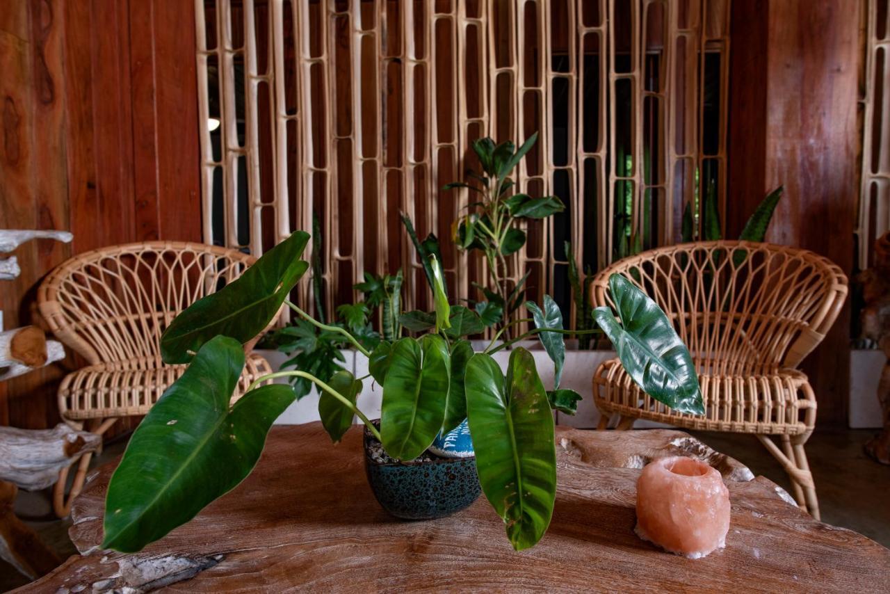 Jungle Bay Dominica Hotel Soufriere ภายนอก รูปภาพ