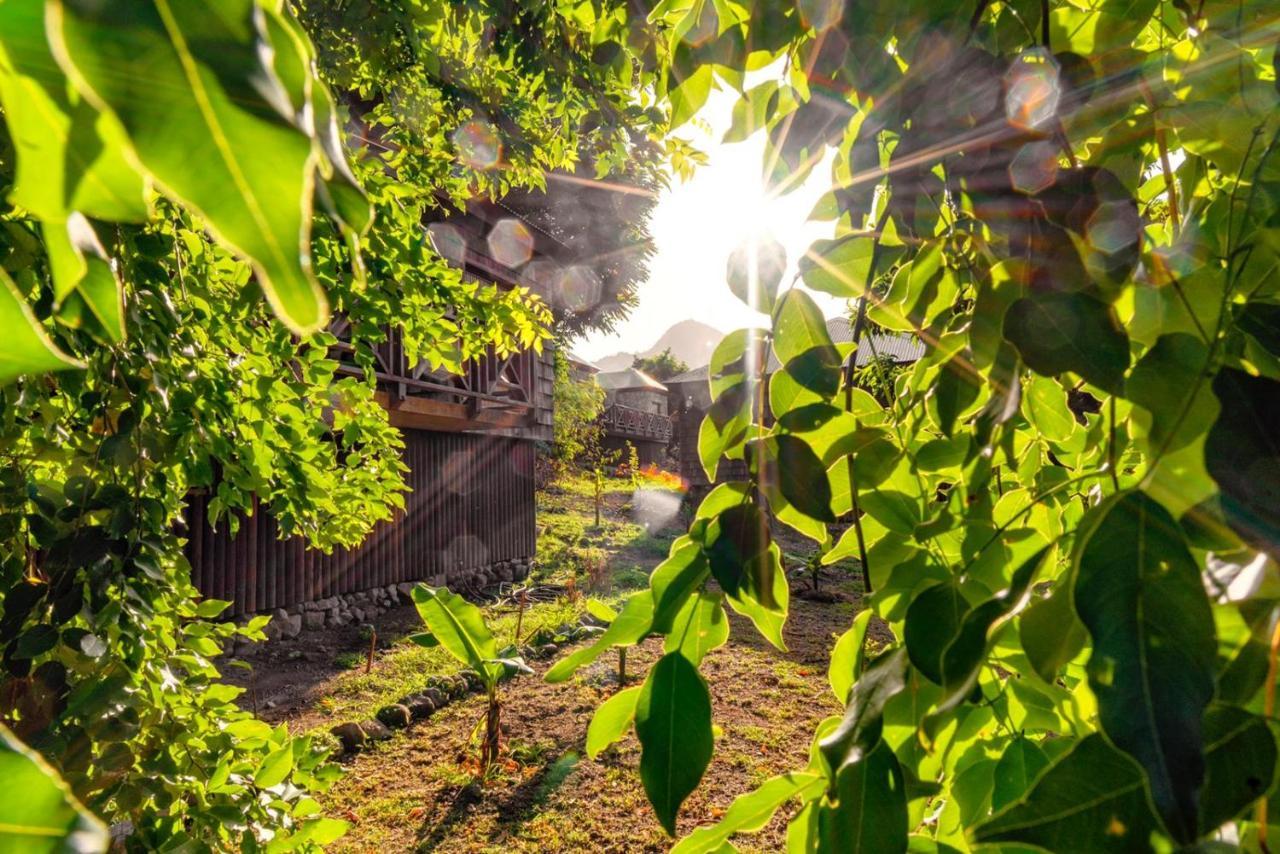 Jungle Bay Dominica Hotel Soufriere ภายนอก รูปภาพ